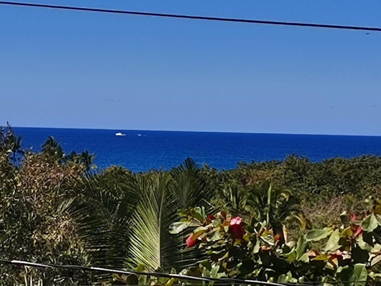 Hotel Quinta Mar Y Selva Chacala  Kültér fotó