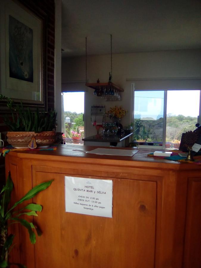 Hotel Quinta Mar Y Selva Chacala  Kültér fotó