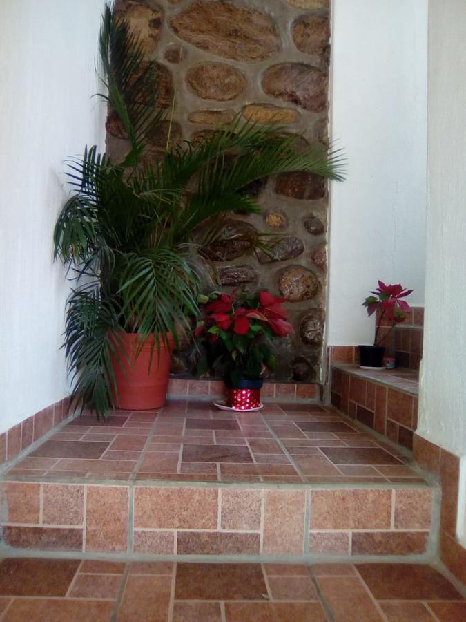 Hotel Quinta Mar Y Selva Chacala  Kültér fotó