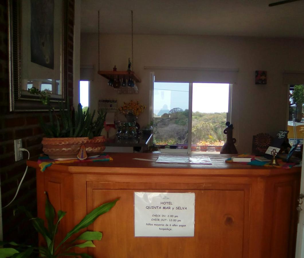 Hotel Quinta Mar Y Selva Chacala  Kültér fotó